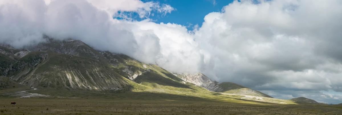 Terrain à donner gratuitement : une opportunité à saisir pour les futurs propriétaires