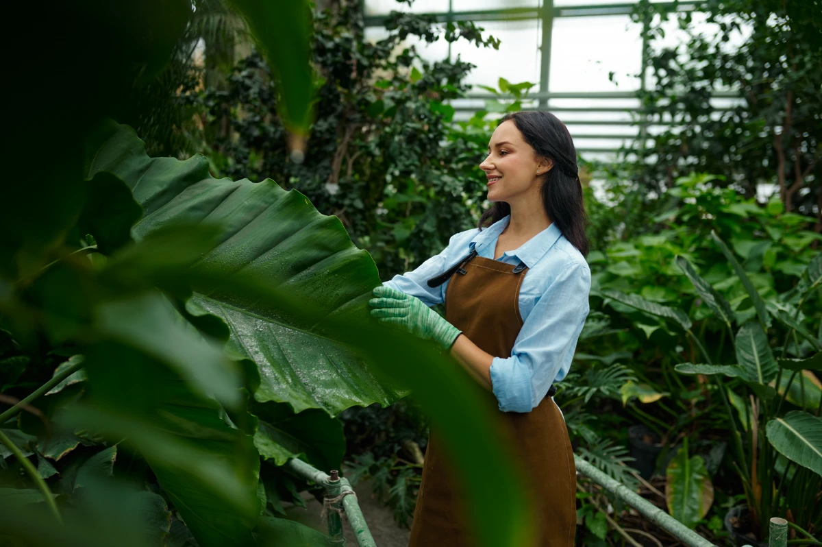 Vivre au vert : Les bienfaits insoupçonnés d'une maison avec jardin