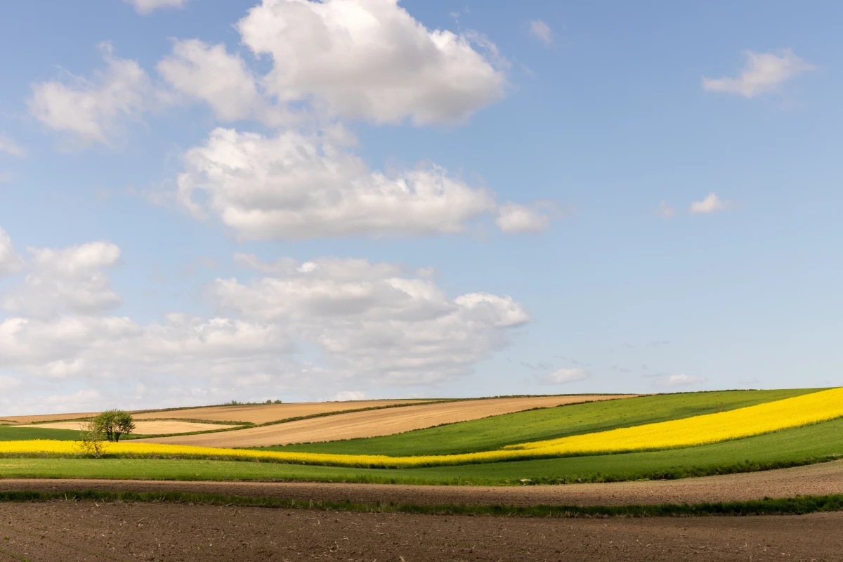 Évaluer un terrain agricole : les outils indispensables pour ne pas se tromper