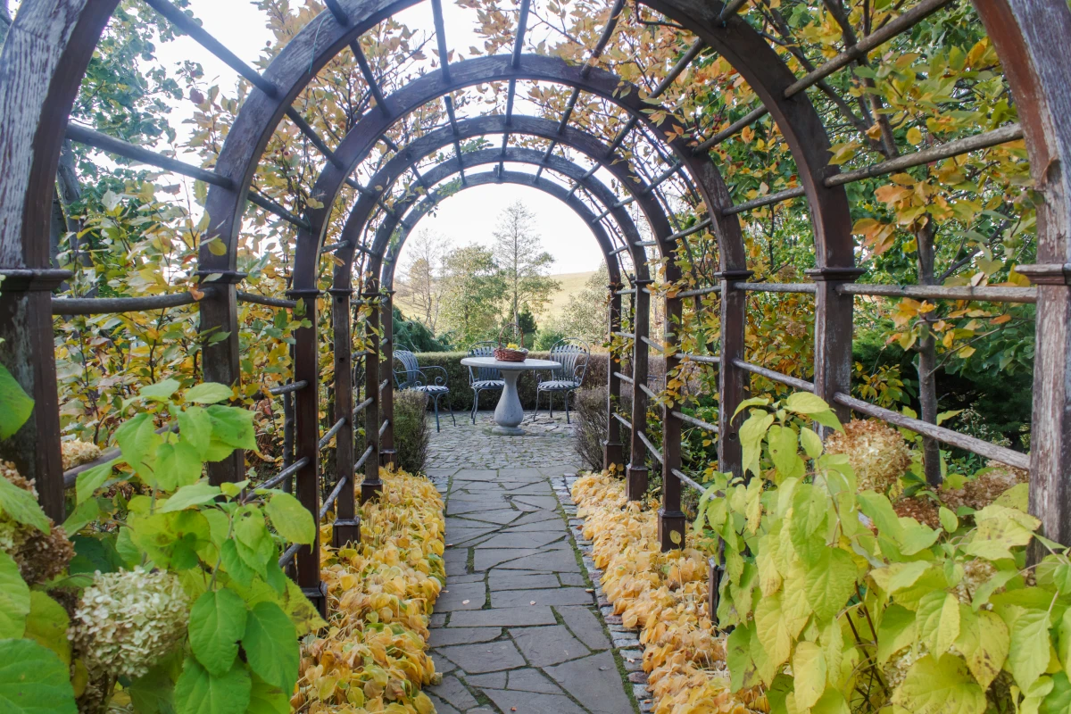 Guide Complet pour l'Achat d'une Pergola : Ce que Vous Devez Savoir