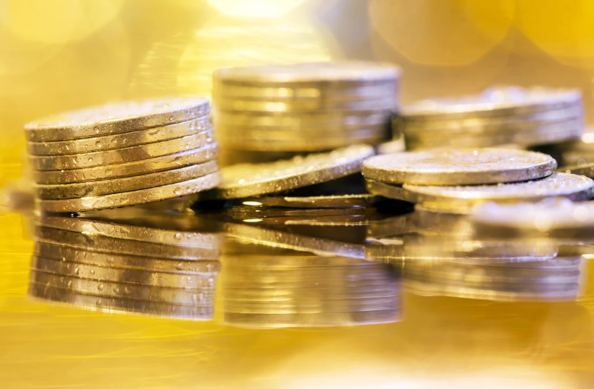 Investir dans l'immobilier vert : la nouvelle mine d'or écologique ?
